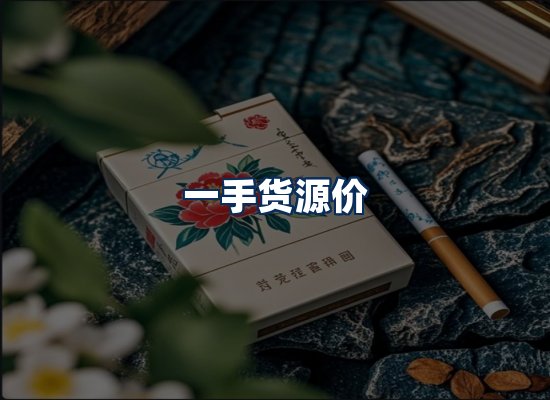 专业团队办公环境